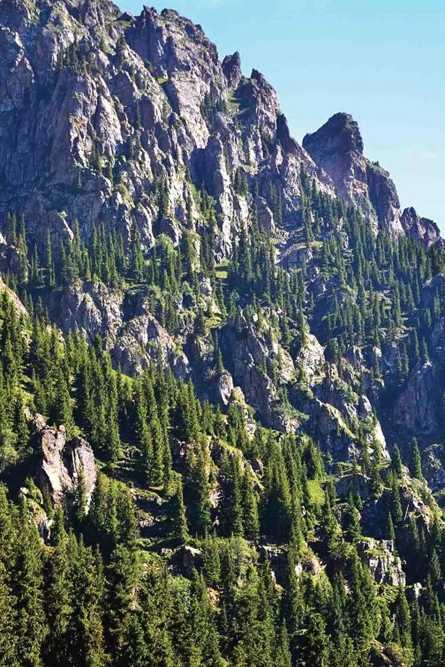 【关注】天山天池@世界上最壮观的高山石林之马牙山