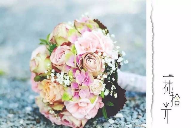 双生花是指所有双生的花吗 48b88e83e82c48b590c7dafd038c4b0f.jpeg