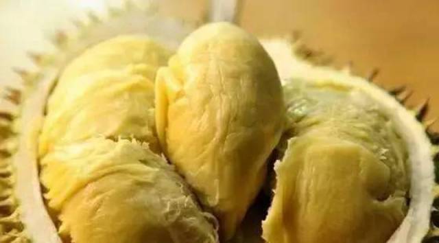 二,成熟时间 榴莲树从种植到成熟,至少要八年以上, 若想长出味道更好