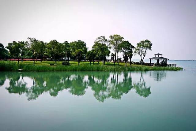 碧波荡漾盛泽湖