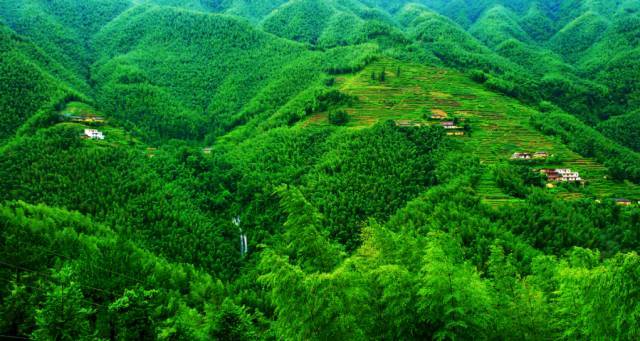 信宜黄华江生态旅游区,镇隆温泉小镇,马安竹林山地公园3项目迎来发展