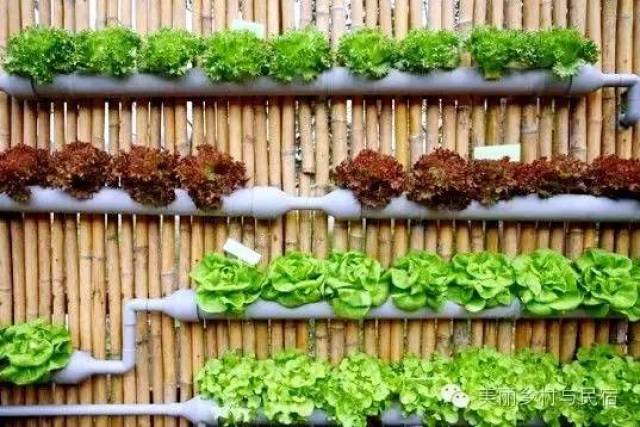 怎样做秘密花园 9160f446625e4d7992c27dc572b0ce75.jpeg