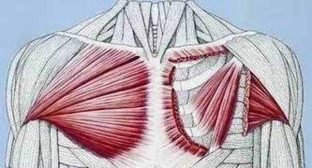 干货| 胸大肌损伤的针刀诊疗思路 (附:针刀教学视频)