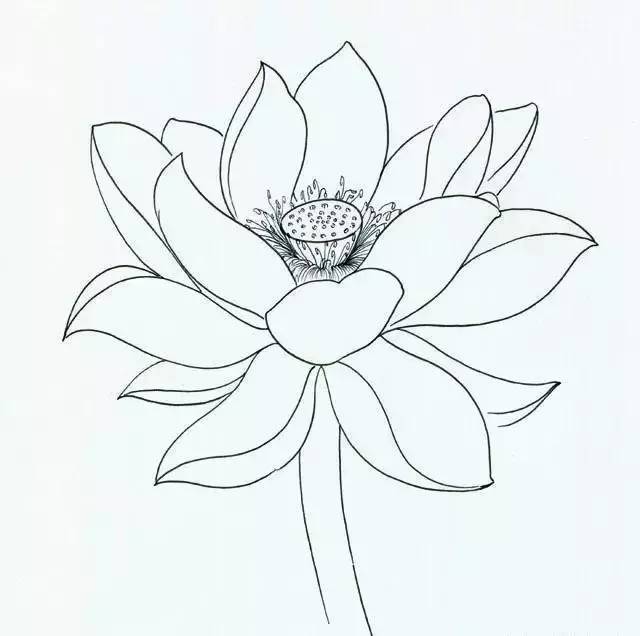 线描教程 | 如何画出漂亮的线条(风熏手绘馆)