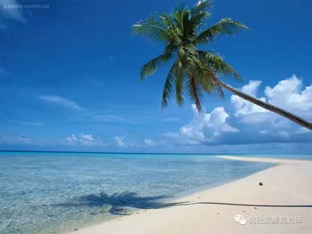 阳光,沙滩,大海,椰子树,这些都在三亚等你!