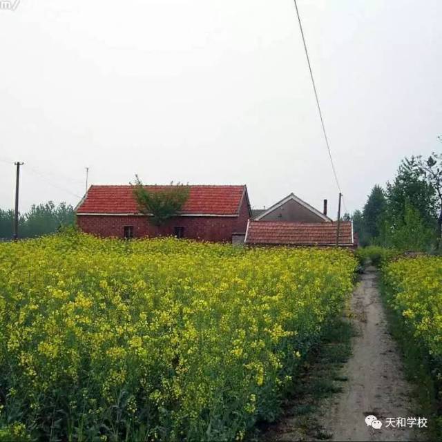 "阳光下成长,暑期我来拍"主题摄影(第二辑)
