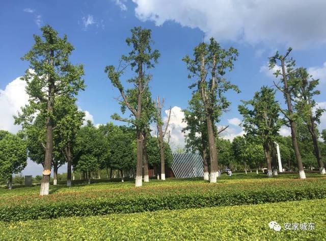 今天麒麟20幅近千亩优质地块曝光！三甲医院、国