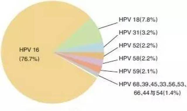 名词解析(二十二)低危型hpv(low-risk hpv)