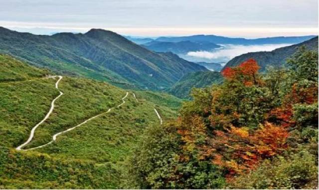 "蝉唱玉屏山,浪漫野鸡坪",偷得浮生半日闲情,走进森林,走进营地,远离