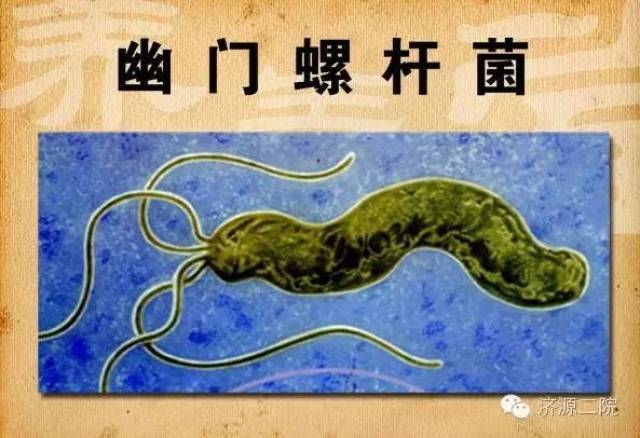 【约起来吧】我院体检中心能检测幽门螺旋杆菌了,测测