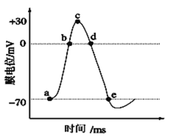 【生如夏花】"神经调节"膜电位变化曲线部分在高考试题中的体现(一)