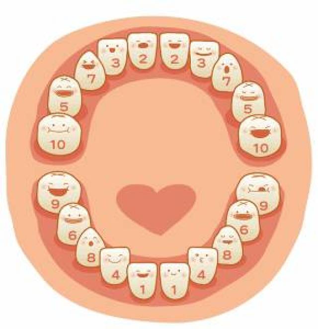 宝宝2岁前乳牙没长齐是缺钙导致的吗 