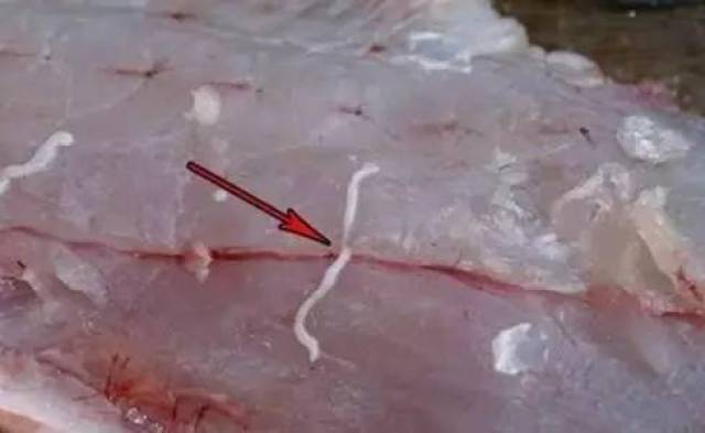 5bc6a01192ad453ab5d3cfda20d3df83.jpeg