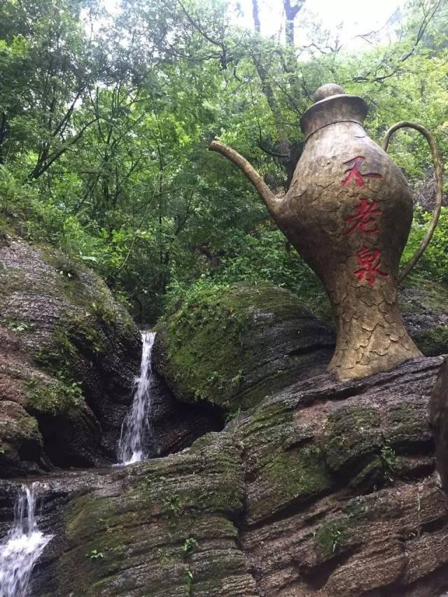 坐落着一座不老泉景区,扮靓着,装点着常山,跟着小编一起去看