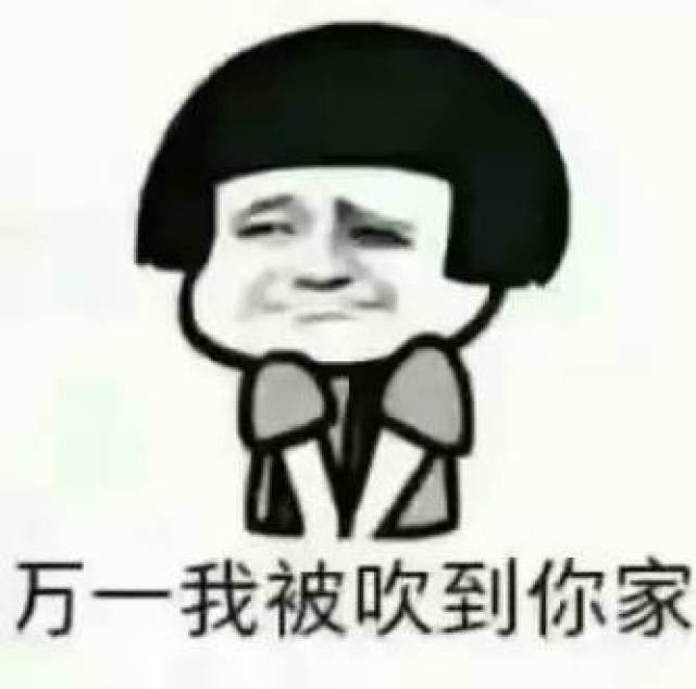 今晚之后朋友圈只剩下胖子,瘦子们都被台风吹走了