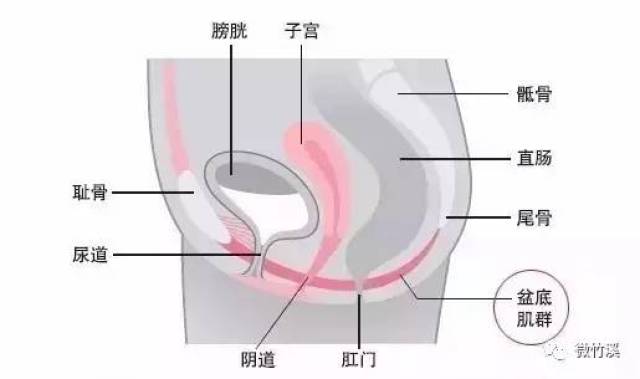 县妇幼保健院引进法国盆底康复仪,让产后妈妈更健康!
