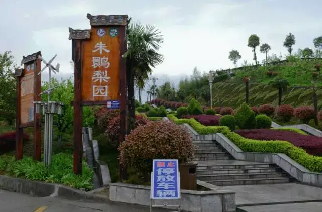 汉中市内—天汉大道—京昆高速—武侯祠(约1小时) 洋县朱鹮梨园景区