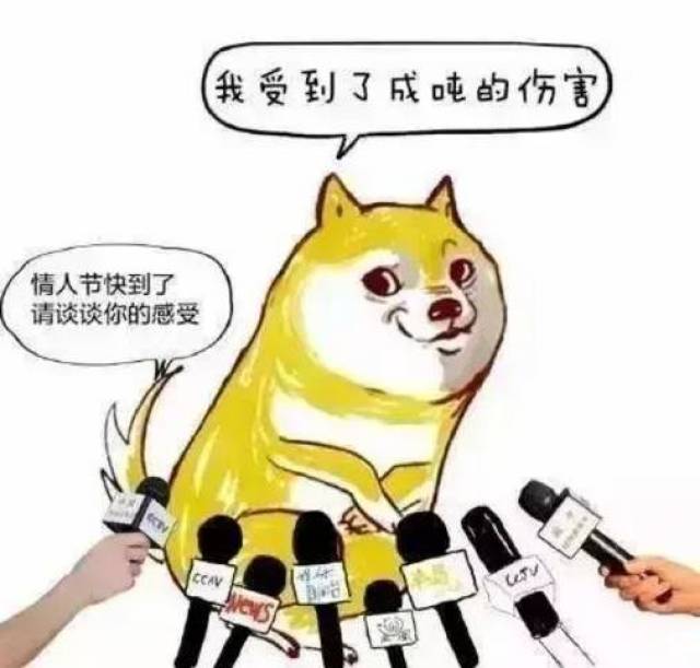 团团帮你找对象!单身的你,赶紧来