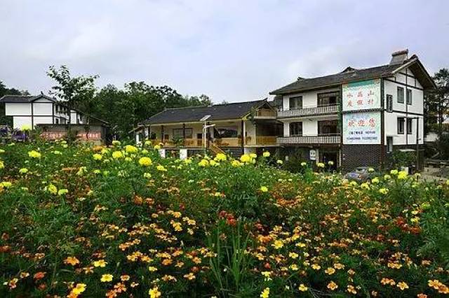 【贵州日报】道真自治县隆兴镇:三变改革激活沉睡资源 乡村旅游发展风