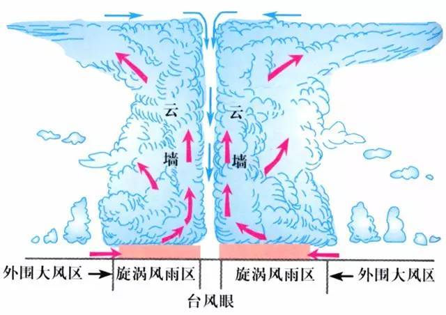 形成并加强台风暖中心结构