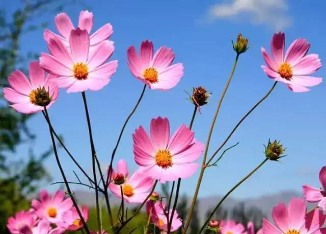 想得通就能想得美