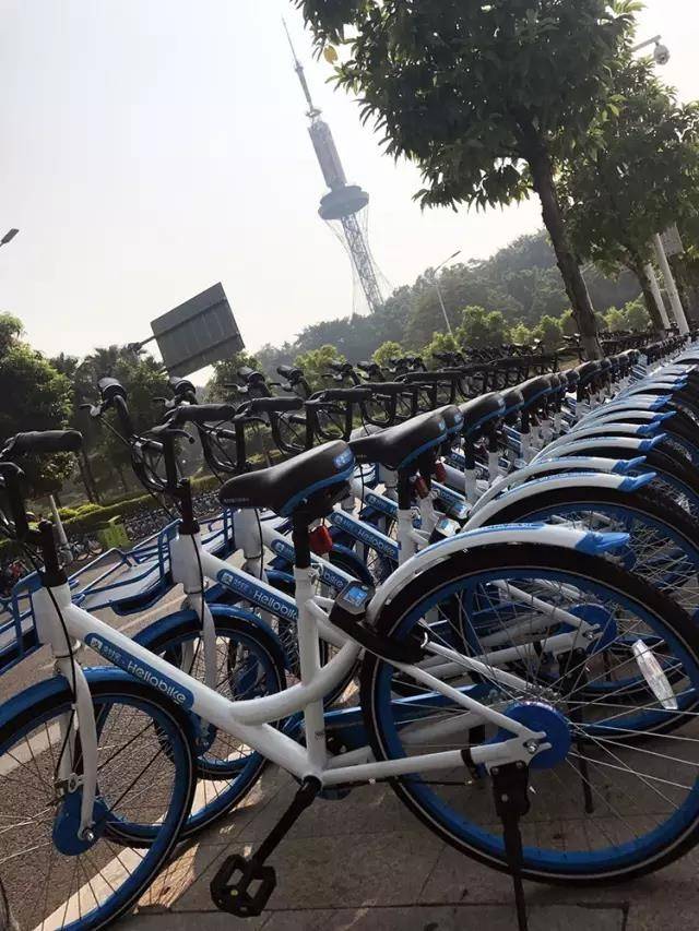 共享单车免费使用攻略 d640098933734d33862a51b700f6ea6c.jpeg