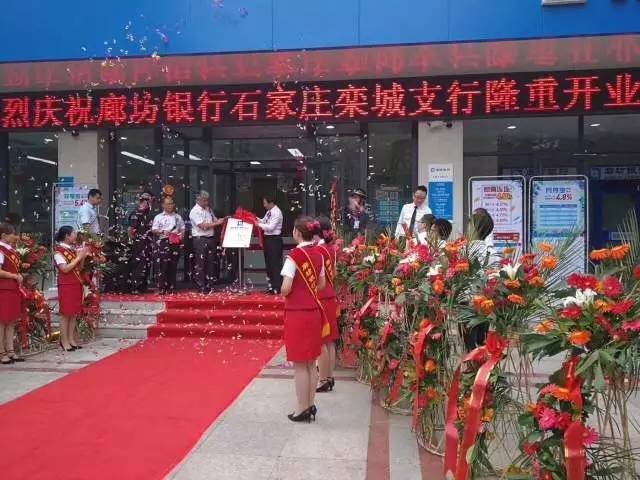 栾城区哪个银行能打流水 搜狐网