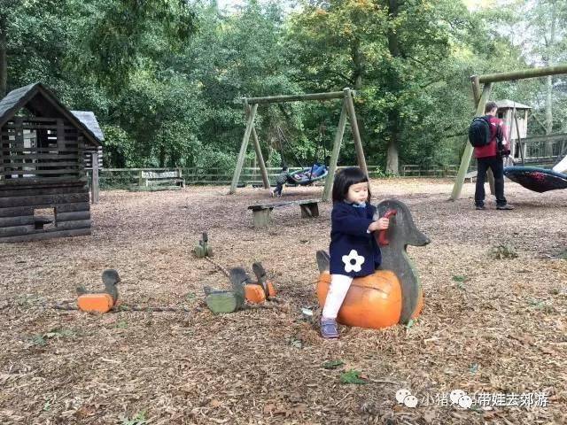 national trust景点里典型的儿童游乐园,隐藏在森林里,全木制,就地