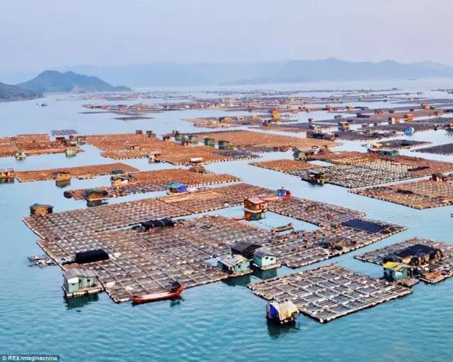 改革开放后中国为数不多现存的小渔村,国内极品的海鲜