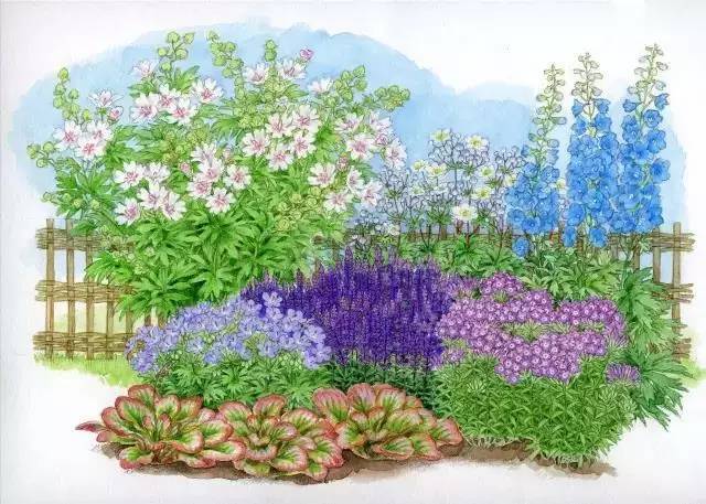多个花园设计方案图,看完这些自己也能做花境