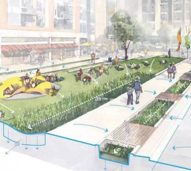 借俞孔坚老师的一句话:海绵城市建设关键在于消纳,减速与适应.