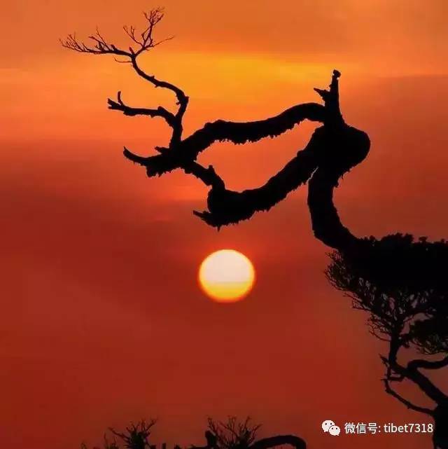 仓央嘉措最美的十首情诗