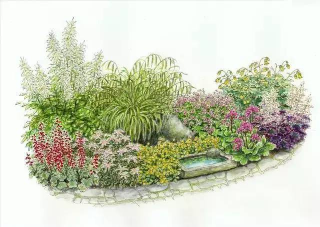 多个花园设计方案图,看完这些自己也能做花境