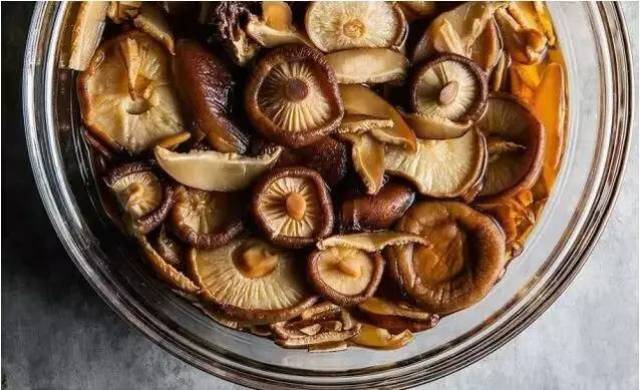 蘑菇为什么叫菌类 6f77c4f574b54b6eb74cf25cf96e68cc.jpeg