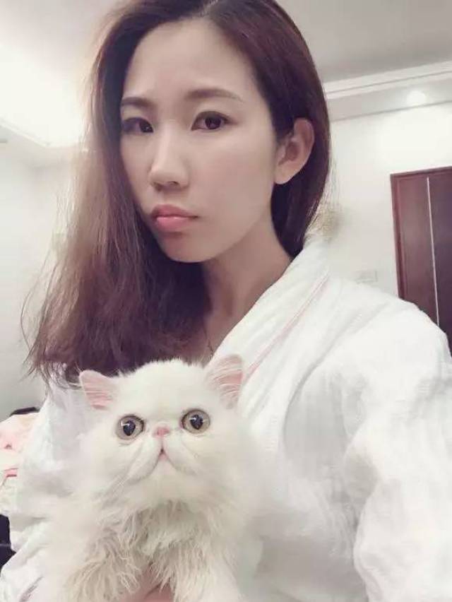 妹子32000元买一只波斯猫,网友直呼这颜值很不值得