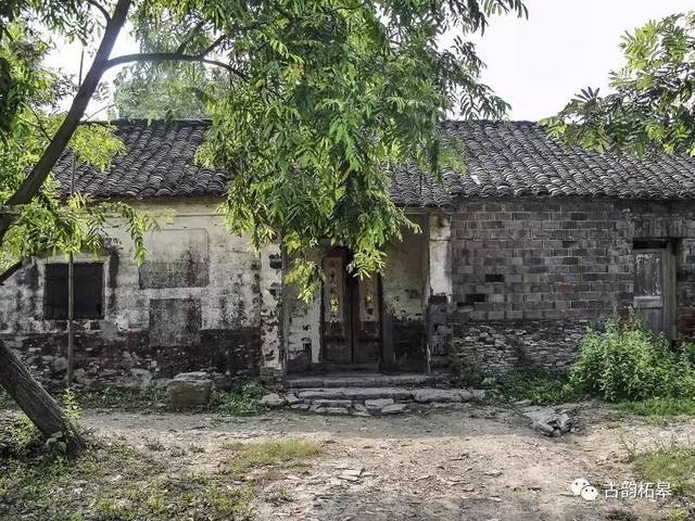 柘皋镇美丽乡村行——留得住青山绿水,记得住乡愁