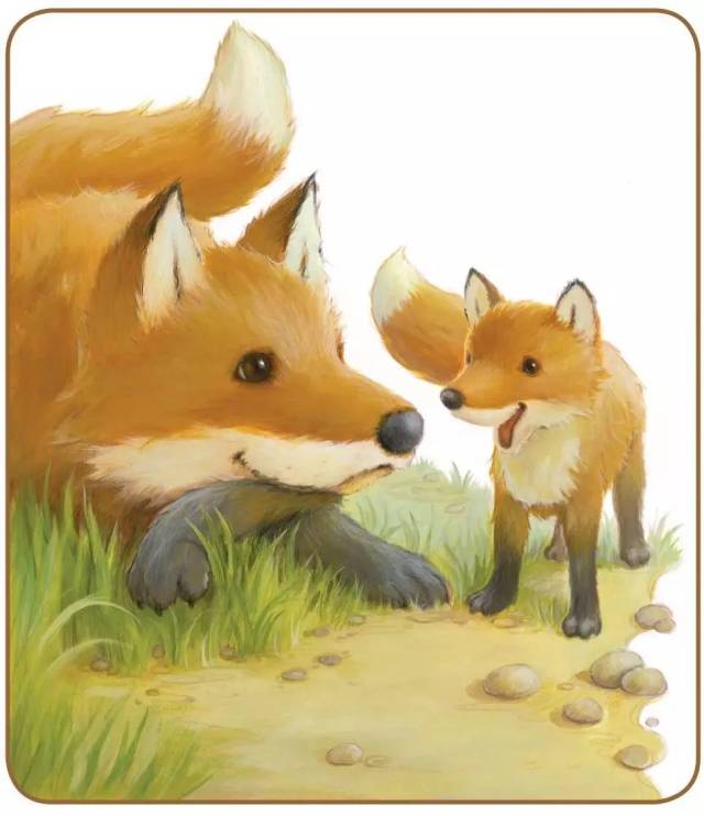 美国外教读绘本丨little fox, little fox 小狐狸,小狐狸