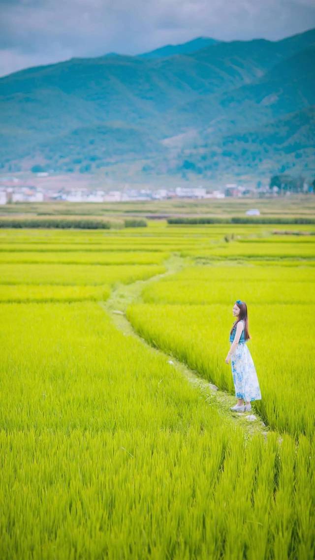 吃下这颗定心丸:世界上只有两种写作!