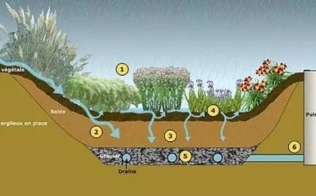 借俞孔坚老师的一句话:海绵城市建设关键在于消纳,减速与适应.