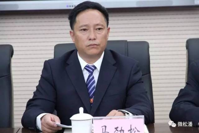 统战部长杨刚,县人民政府副县长马劲松分别作了讲话,并对未来松潘县