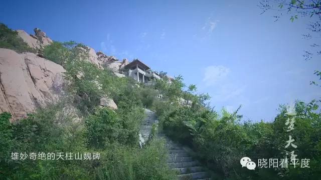这个秋天就来平度大泽山吃葡萄赏美景,必须滴!