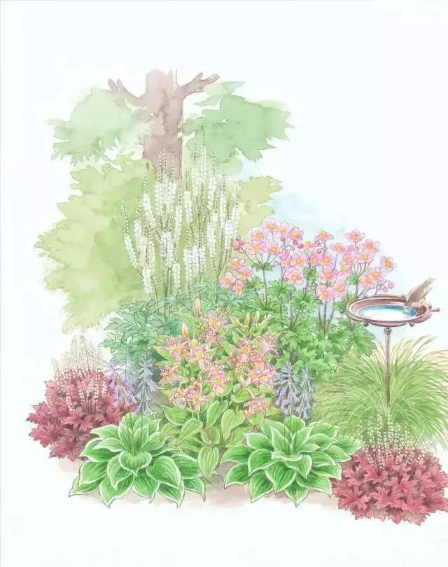 多个花园设计方案图,看完这些自己也能做花境