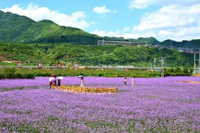 发展了休闲农业观光旅游示                    了黄丝江边的美景,也