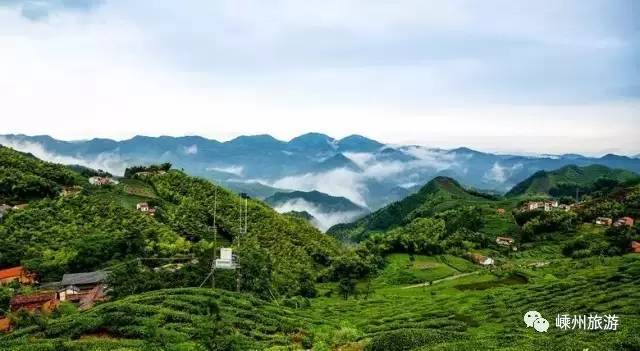 四明山有着第二庐山之称,林深茂密,青山碧水,各种鸟兽出没其间,生态