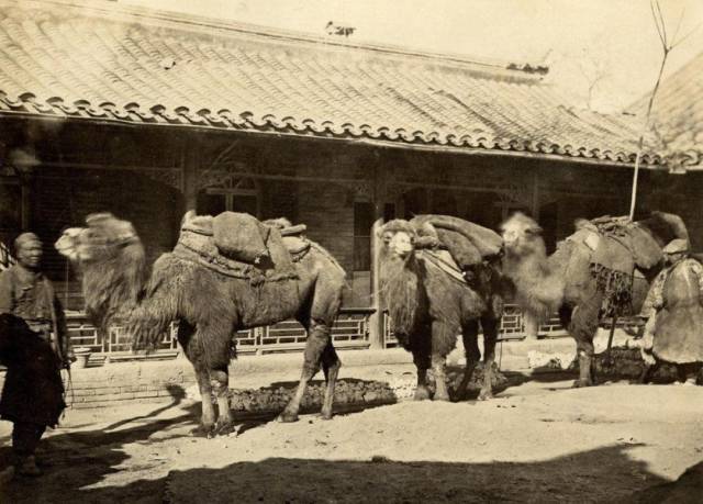 140年前北京老照片