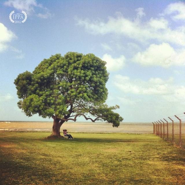 苹果跑到 ins 当摄影博主了!快来get怎么用手机