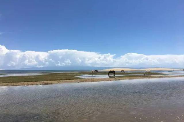 青海湖沙岛