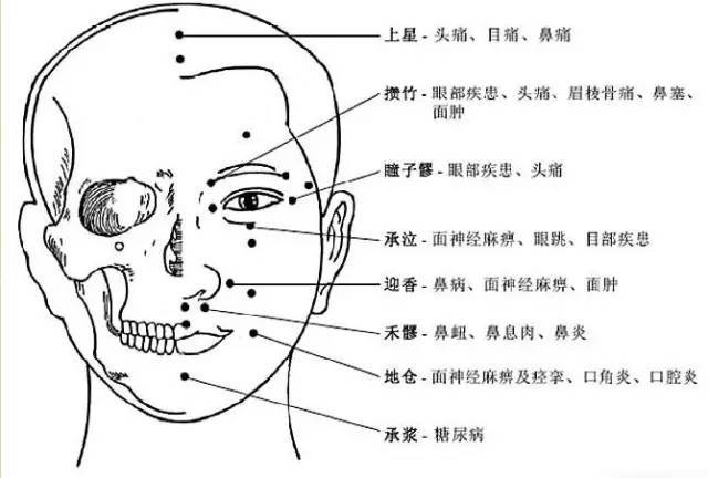 推荐| 头部专业知识与按摩手法