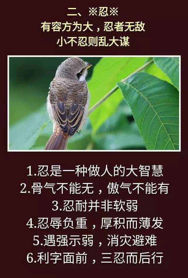 做人一定要有骨气,但不能有傲气,忍耐不是懦弱.