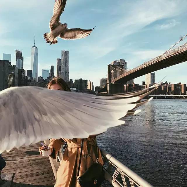 苹果跑到 ins 当摄影博主了!快来get怎么用手机